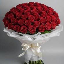 Букет 101 Красная роза Блэк Мэджик в Афипсипе