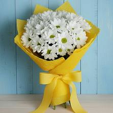 Букет цветов из:  Хризантемы в Афипсипе