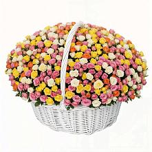 Премиум букет из: Розы #REPLACE_PRED# Афипсипе