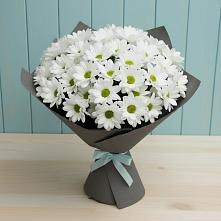 Букет цветов из:  Хризантемы #REPLACE_PRED# Афипсипе