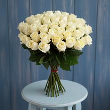 Букет 51 Белая роза Эдлесс Лав #REPLACE_PRED# Афипсипе