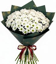 Букет цветов из:  Хризантемы в Афипсипе