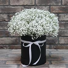 Цветочная композиция из Гипсофила в шляпной коробке в Афипсипе