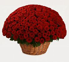 Премиум букет из: Розы в Афипсипе